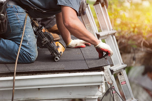 Best Roof Maintenance Services  in Minot, ND