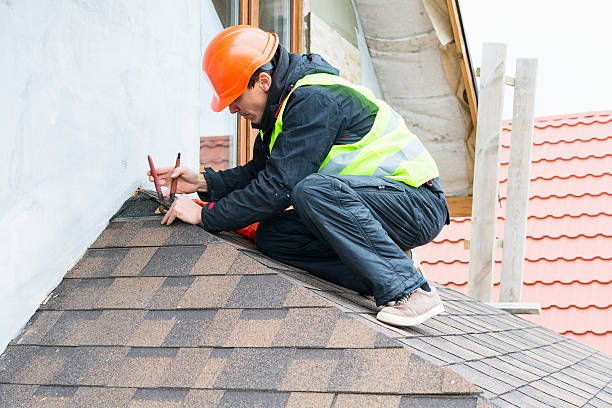 Best Roof Repair Services  in Minot, ND