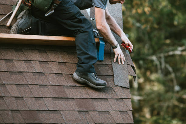 Best Roof Leak Repair  in Minot, ND